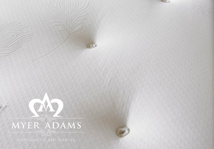 Myer Adams Hilton Divan Bed-Better Bed Company