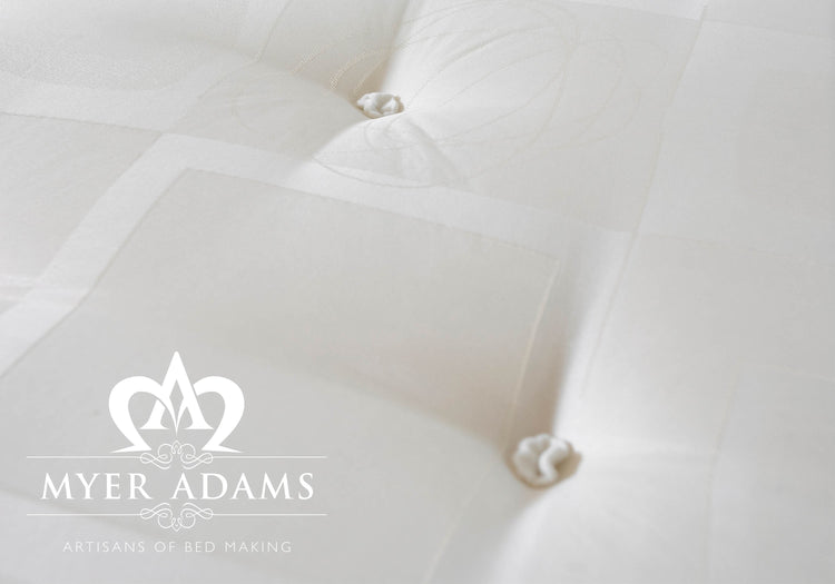 Myer Adams Edinburgh Divan Bed-Better Bed Company