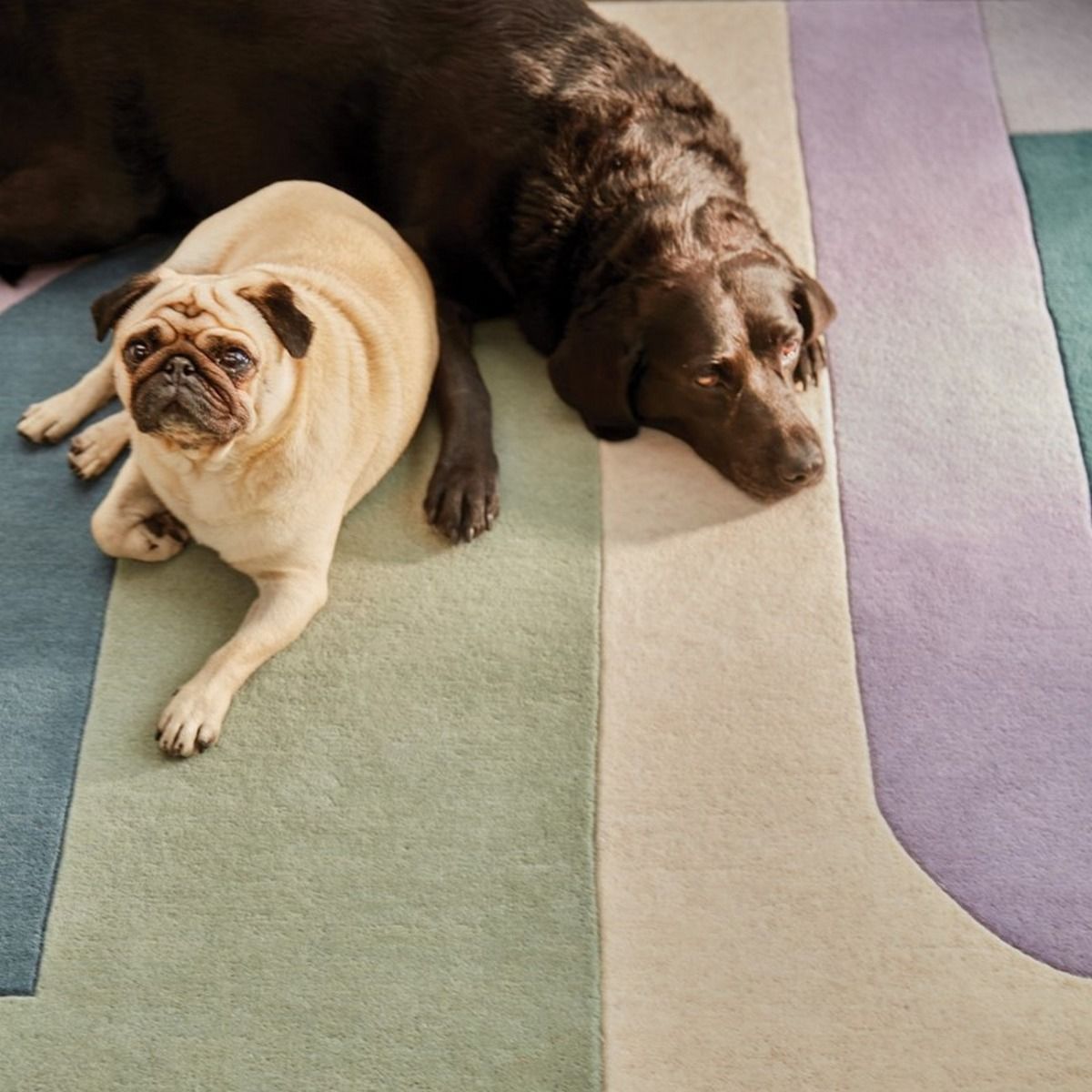 Origins Bauhaus Graphic 1 Rug Close Up-Better Bed Company 