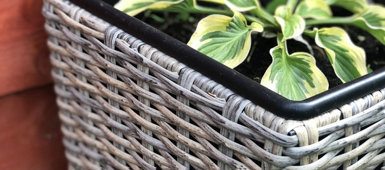 Maze Planters Shaped Cotswold